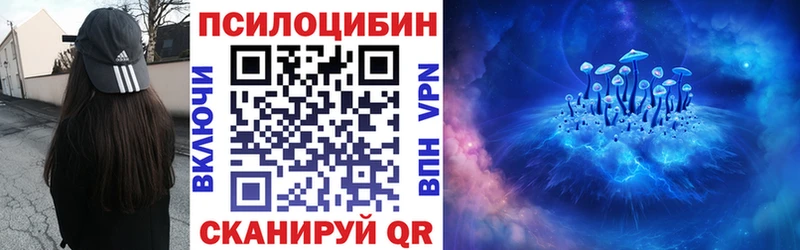 Галлюциногенные грибы Psilocybe  Магас 